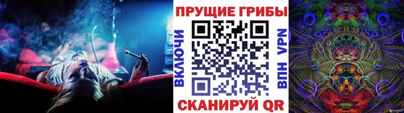 даркнет формула  где продают наркотики  Карабаново  Галлюциногенные грибы Cubensis 